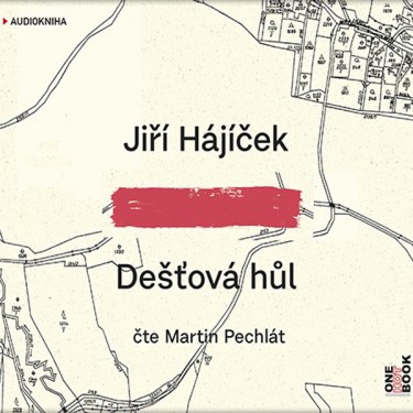 HÁJÍČEK, J. / PECHLÁT, M. - DEŠŤOVÁ HŮL