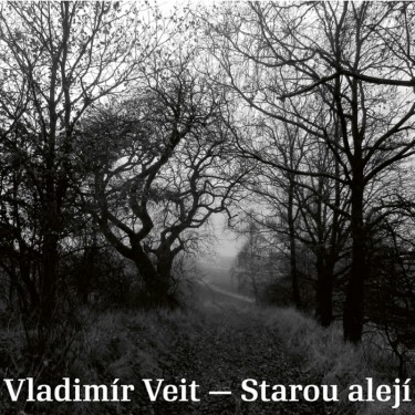 VEIT VLADIMÍR - STAROU ALEJÍ