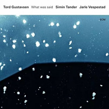 GUSTAVSEN TORD - WHAT WAS SAID