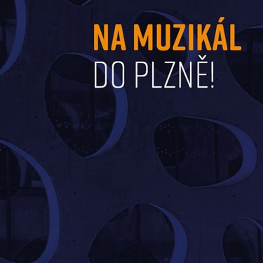 NA MUZIKÁL DO PLZNĚ! - V.A.