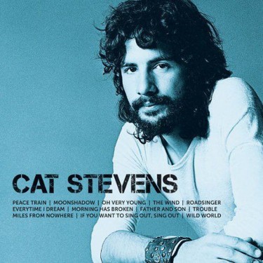 STEVENS CAT - ICON