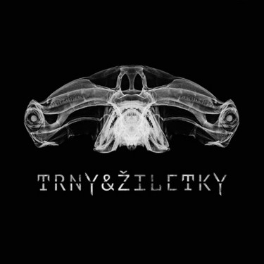 TRNY & ŽILETKY - TRNY & ŽILETKY