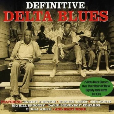 DEFINITIVE DELTA BLUES - V.A.