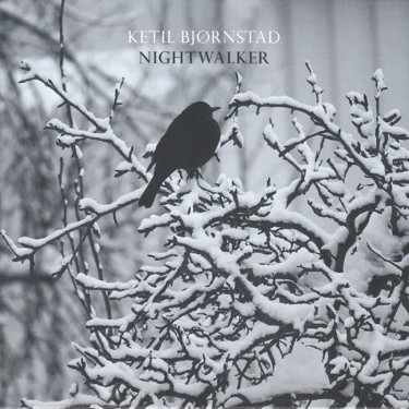 BJÖRNSTAD KETIL - NIGHTWALKER