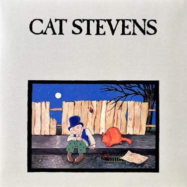 STEVENS CAT - TEASER AND THE FIRECAT