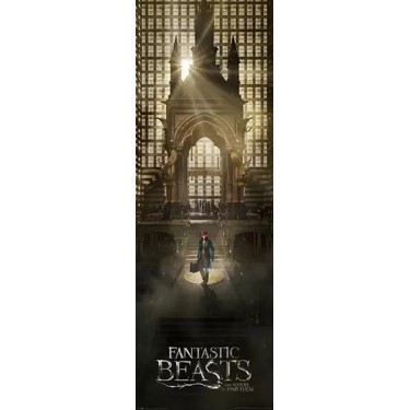 plakát 3010 - FANTASTIC BEASTS AND WHERE TO FIND THEM - 53 X 158 CM DOOR & PANORAMA